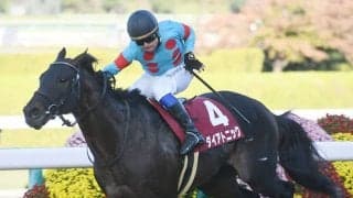 【スワンS】売上は41億7482万4400円で昨年から約5億円増加