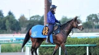 祖母は英G1勝ち馬のレッドロスタムがデビュー/関東馬メイクデビュー情報