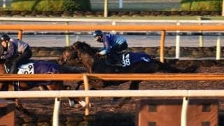 シルバーステート産駒のセッションが松山弘平騎手でデビュー/関西馬メイクデビュー情報