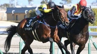 【AI予想・アルゼンチン共和国杯】相手が強くても関係なし!? 安定感抜群な人工知能「◎」候補