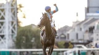 血統構成のよく似た三種の血を兼ね備えた文句なしの名配合