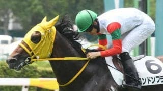 【京王杯2歳S展望】朝日杯FSに向けた一戦、直線のキレ味が要求されやすい