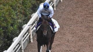 ダノンザキッドなど、先週の入厩情報/栗東トレセンニュース