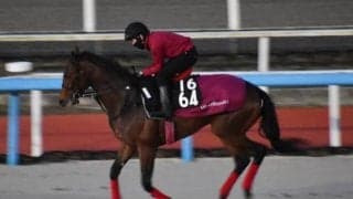 マンオブグリットなど、先週のゲート試験/栗東トレセンニュース