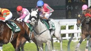 【みやこS予想オッズ】オメガパフュームが予想1番人気