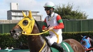 【京王杯2歳S予想オッズ】ロンドンプランが予想1番人気