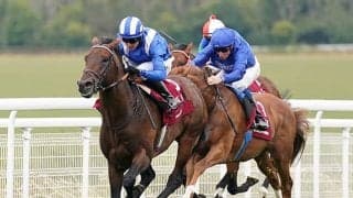 11戦10勝で引退した世界最強マイラー 種牡馬入りに向けて新たな準備を開始