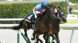 【ファンタジーS予想オッズ】アロマデローサが予想1番人気