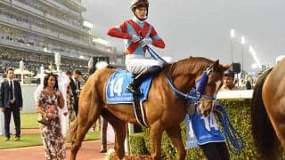 小笠師「理想通り」日本馬出走の米G1ブリーダーズカップ 出馬表が発表