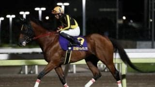 南関東では数少ないハンデ重賞に16頭/大井・サンタアニタT注目馬