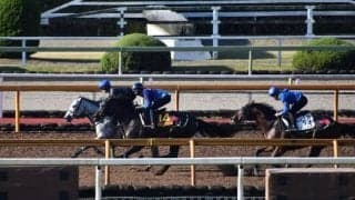 デアリングタクト、エリザベス女王杯1週前追い切り速報/栗東トレセンニュース