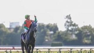 【次走】ユーバーレーベンがジャパンカップ参戦 「距離延長もいい」