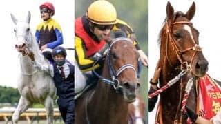 ソダシ、サリオス、ダノンスコーピオンなどGI馬5頭が参戦 マイルCSの出走想定馬11頭