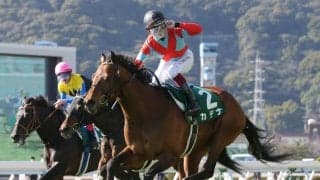 カデナが競走馬登録抹消