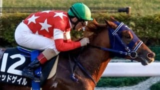 デビュー以来7戦すべて3着内 安定感抜群の3歳馬が来年1月に重賞初挑戦