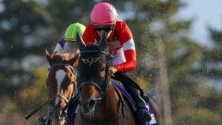 【JBCスプリント】レッドルゼルは1枠1番