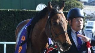 8歳まで現役続けた古豪カデナが引退 今後は北海道で種牡馬に