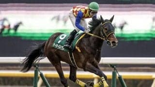 【AR共和国杯展望】スタミナが要求されるレース、注目はあの馬