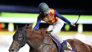 盛岡＆門別でJBCが開催 盛岡では実績馬が多数出走する芝重賞も/本日の注目ポイント