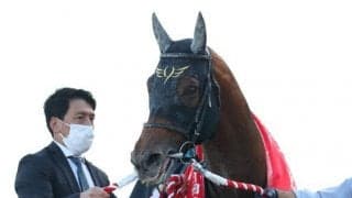 14頭中12頭が重賞ウイナー 連覇か超新星の誕生か/盛岡・JBCスプリント注目馬