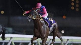 重賞勝ち馬10頭の共演 秋のダート王者決定戦/盛岡・JBCクラシック注目馬