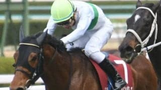 菊花賞3着馬の兄が名物重賞ステイヤーズSに挑む 昨年2着のリベンジへ