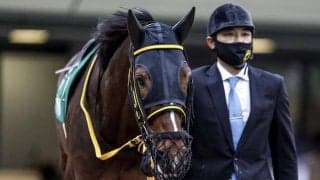 【アルゼンチン共和国杯出走馬・騎手確定】テーオーロイヤル＆菱田裕二騎手、キラーアビリティ＆C.デムーロ騎手など18頭