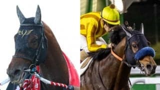 JBCスプリントの15時時点オッズ 前年覇者が支持を集め単勝1倍台に