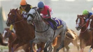 【みやこS出走馬・騎手確定】オメガパフューム＆横山和生騎手、ハピ＆横山典弘騎手など16頭