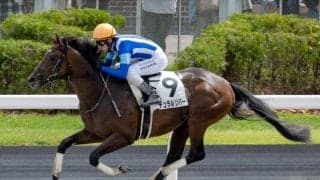 JBC2歳優駿の16時時点オッズ 前走初ダートで8馬身差圧勝のナチュラルリバーが1番人気