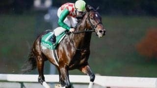 【盛岡・OROカップ結果】船橋のアトミックフォースが人気に応えて圧勝