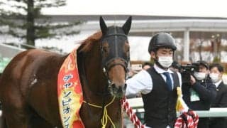 JBCクラシックの16時時点オッズ 1番人気に支持されたのは昨年のJRA最優秀ダートホース