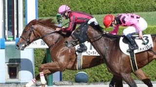 【新馬/阪神4R】ヘニータイフーンが人気に応えてデビューV