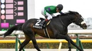 アルゼンチン共和国杯は東京で連対率９割の「コース巧者」に期待。オルフェーヴル産駒の末脚にも注目