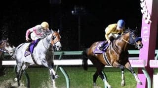 【JBCスプリント】横山武「非常に悔しい」レース後ジョッキーコメント