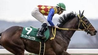 【アルゼンチン共和国杯枠順確定】テーオーロイヤルは3枠5番、キラーアビリティは3枠6番