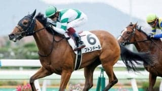 【ファンタジーS枠順確定】アロマデローサは8枠11番、ブトンドールは5枠5番