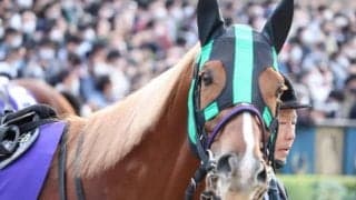 1年半以上の戦線離脱から復帰を果たしたバビット コンビ継続で来年のAJCCへ