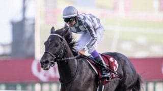 【仏ダニエルウィルデンシュタイン賞】武豊 マイラプソディは10着