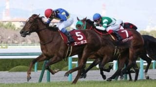 エーポスが競走馬登録抹消