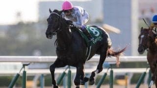 マイラプソディが競走馬登録抹消