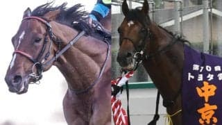 3歳馬オニャンコポンが古馬と初対決 福島記念の出走想定馬17頭