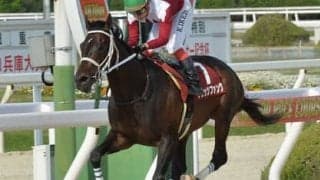 みやこＳは「休み明けの馬は勝てない」。穴党記者はひと叩きした伏兵２頭の一変に期待