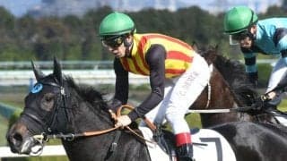 【阪神5R新馬戦結果】ダークブロンドが差し切って人気に応える