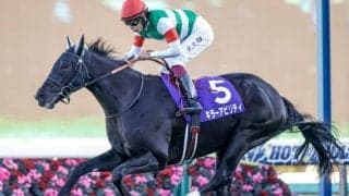 【アルゼンチン共和国杯】出走馬の弟がレース前日に次々勝利！ 兄たちは弟の勝利に続けるか
