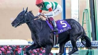 【アルゼンチン共和国杯予想】ディープインパクト産駒の鬼門!? 東京が舞台も特殊なレース