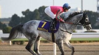 【みやこS前日オッズ】オメガパフュームが3.8倍で1番人気