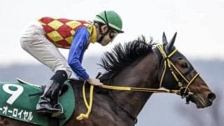 【アルゼンチン共和国杯前日オッズ】テーオーロイヤルが3.9倍で1番人気