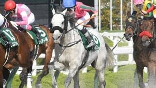 【みやこS予想】オメガパフュームの本気度は？ 少しの差が明暗を分ける大偉業を見据えた一戦