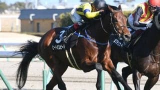 【AI予想・アルゼンチン共和国杯】多頭数ハンデ戦で「100万馬券」も!? 人工知能「初志貫徹」の本命馬